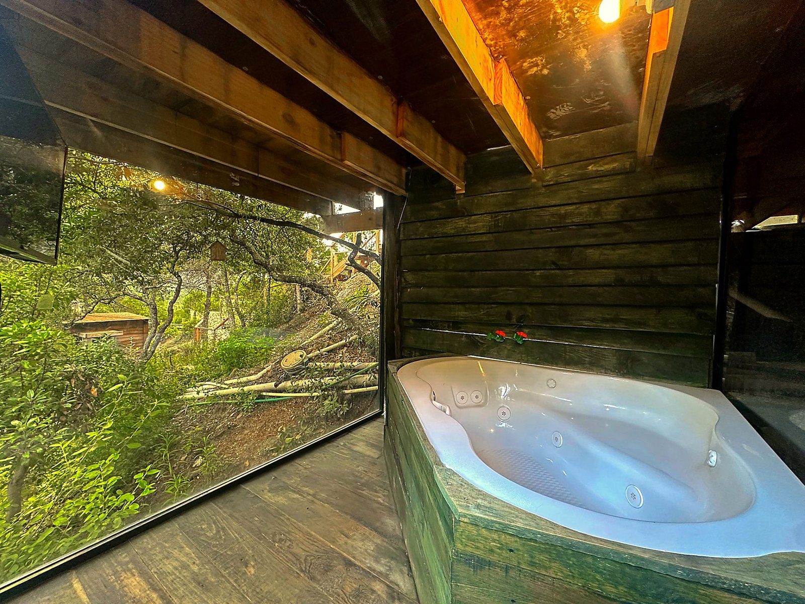 Jacuzzi privado de AURORA BOREAL bajo techo de madera con ventanal panorámico al bosque de la Sierra de Arteaga